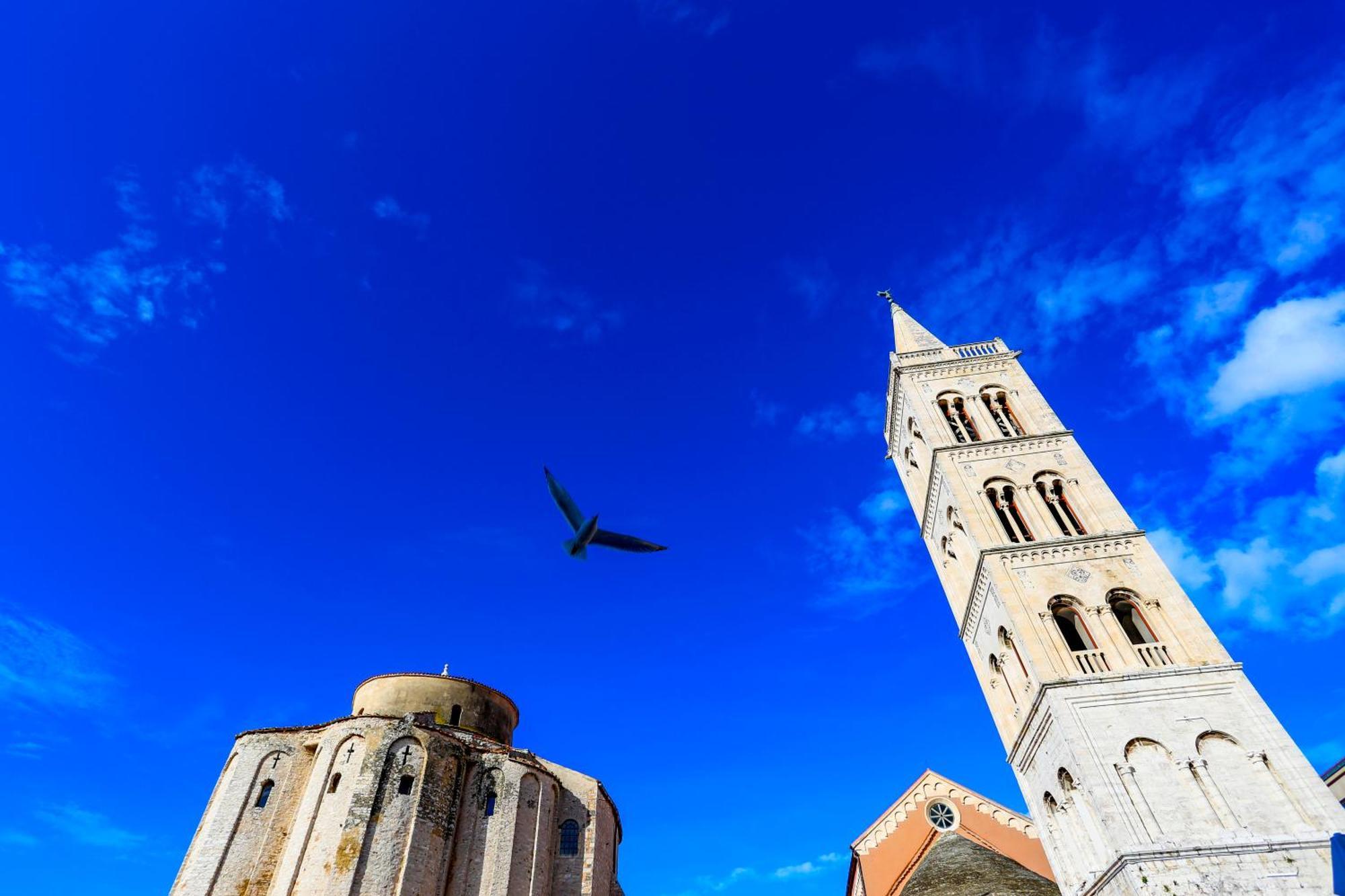 Apartment Ryanair'S Seaside Top Choice Zadar