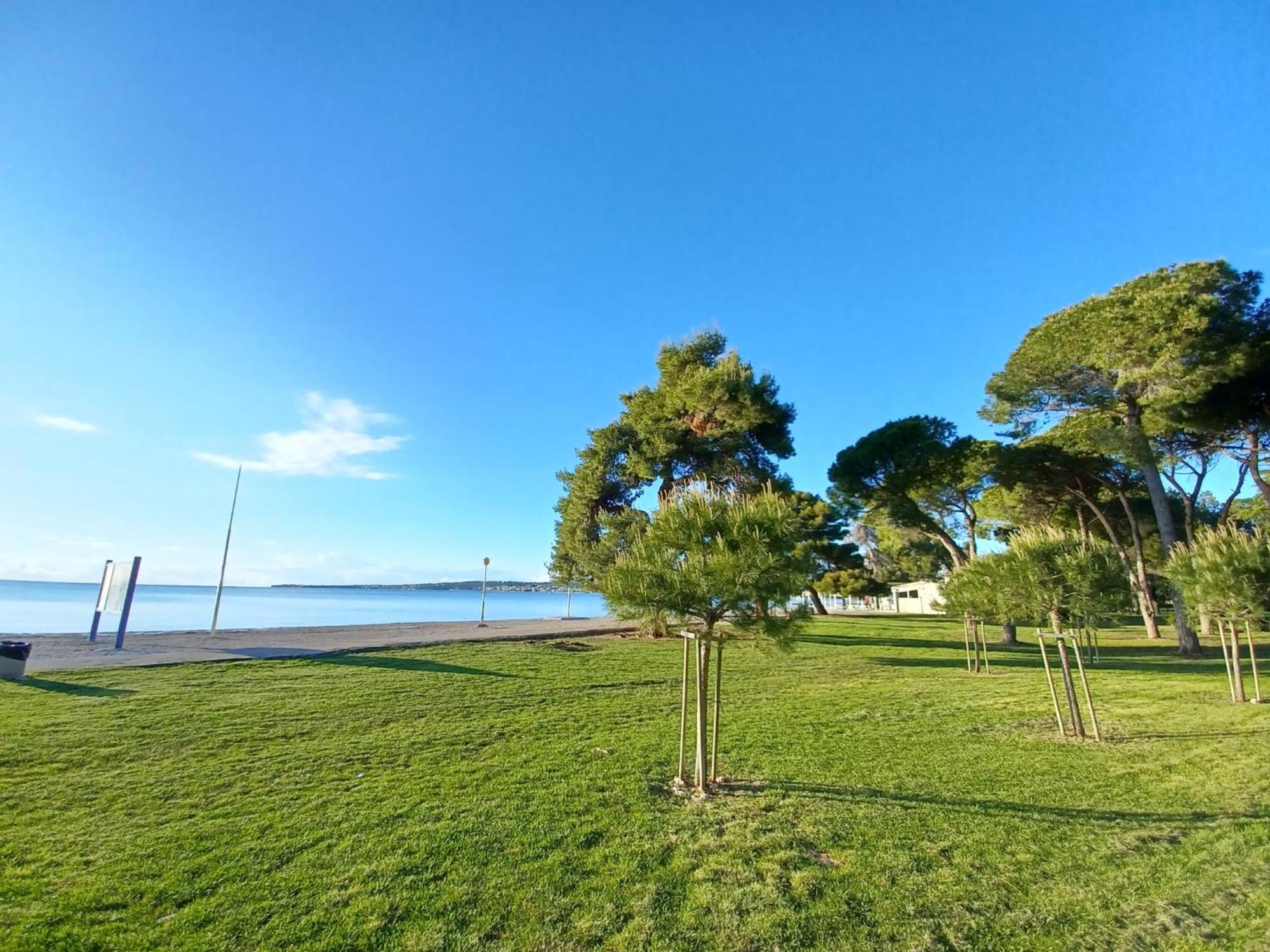Apartment Ryanair'S Seaside Top Choice Zadar *
